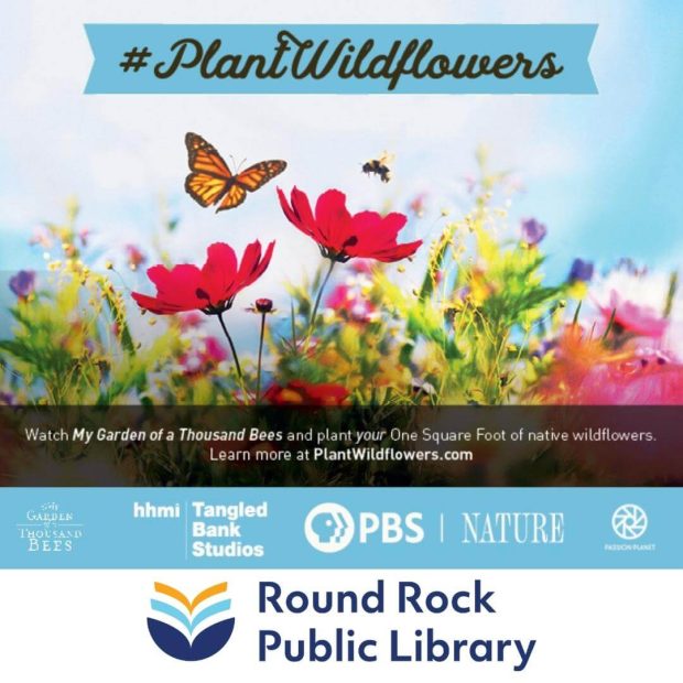 Library wins wildflower grant