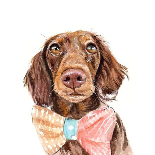 2nd Annual Paint Your Pet Art Show — August 1-31