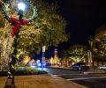 Make your spirits bright at Round Rock’s holiday events
